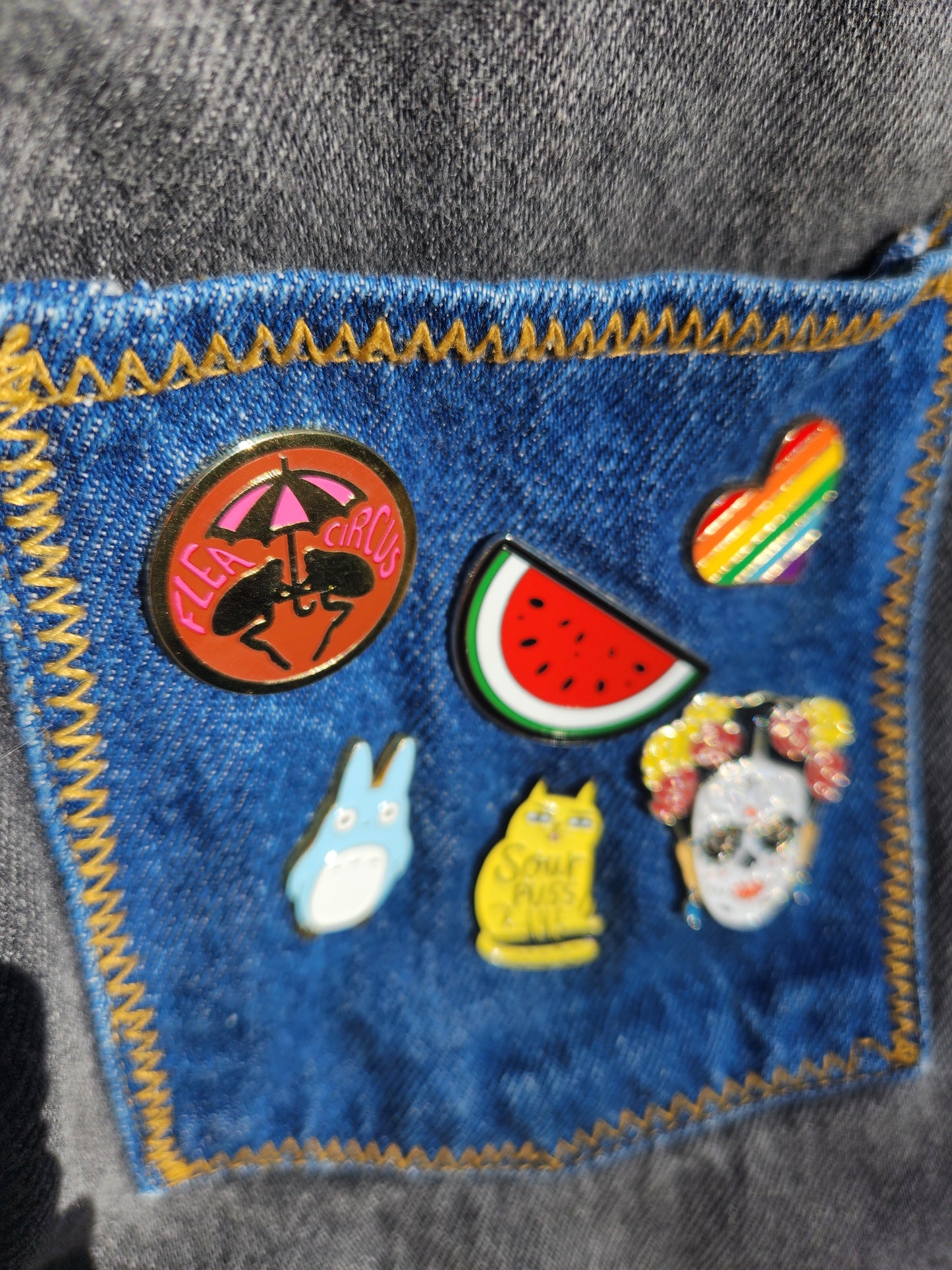 Flea Circus Pin